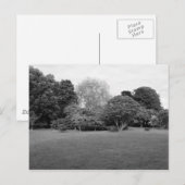 Twee voor Joy Briefkaart (Voorkant / Achterkant)