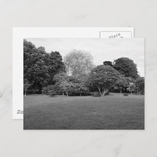 Twee voor Joy Briefkaart (Voorkant / Achterkant)