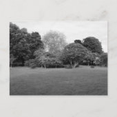 Twee voor Joy Briefkaart (Voorkant)