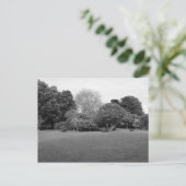 Twee voor Joy Briefkaart (Staand voorkant)