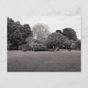 Twee voor Joy (Warm Toned Black en White) Briefkaart