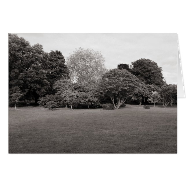 Twee voor Joy (Warm Toned BW) (Voorkant Horizontaal)