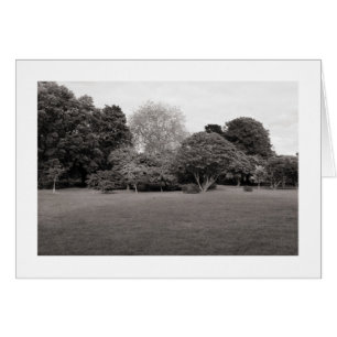 Twee voor Joy (Warm Toned BW Bordered)