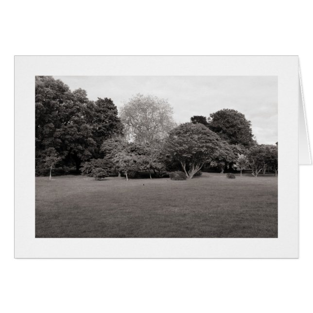 Twee voor Joy (Warm Toned BW Bordered) (Voorkant Horizontaal)