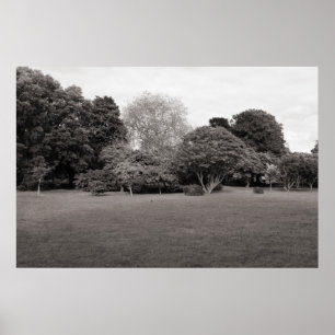 Twee voor Joy (Warm Toned) Poster