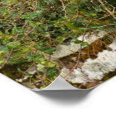 twee voor vreugde - magie op een muur poster (Hoek)