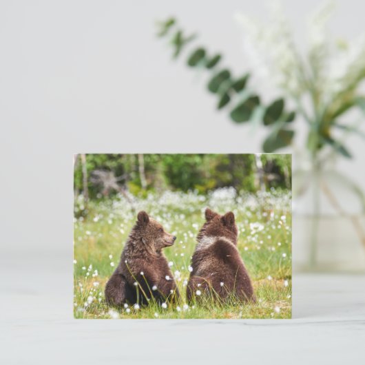 Twee vriend beren briefkaart (Staand voorkant)