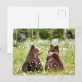 Twee vriend beren briefkaart (Voorkant / Achterkant)