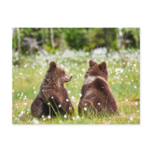 Twee vriend beren briefkaart