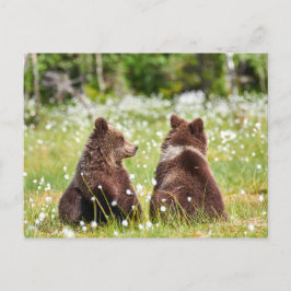 Twee vriend beren briefkaart