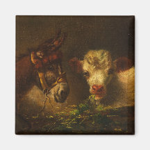 Twee vrienden (ezel en lam) (boerderijdieren)