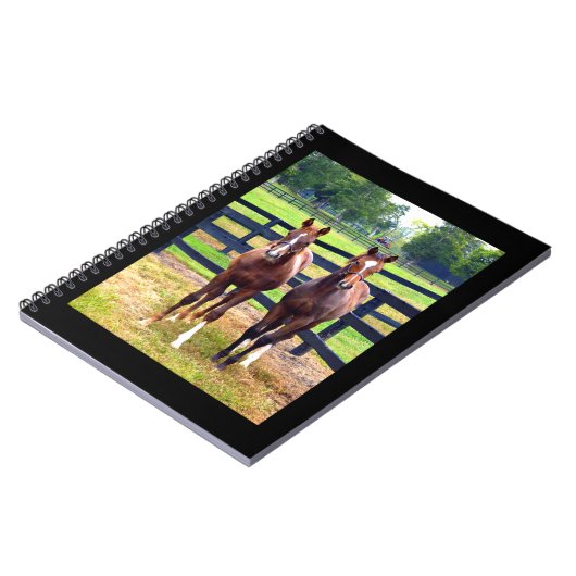 Twee vrienden notitieboek (Linkerzijde)