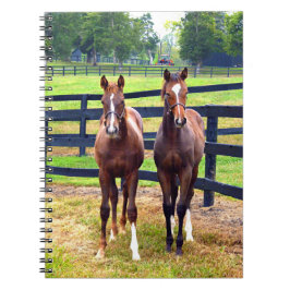 Twee vrienden notitieboek