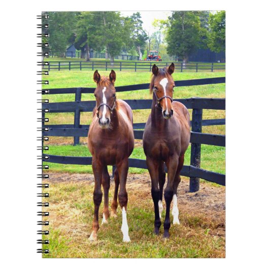 Twee vrienden notitieboek (Voorkant)