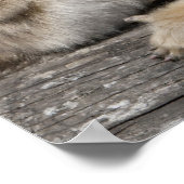 Twee vrouw gouden apen met pasgeborenen poster (Hoek)