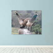 Twee Vrouw peafowls poseren sierlijk fotografie Canvas Afdruk (Insitu (Houten vloer))