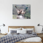 Twee Vrouw peafowls poseren sierlijk fotografie Canvas Afdruk (Insitu (Slaapkamer))