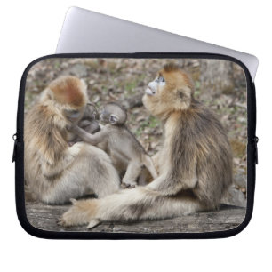 Twee vrouwelijke Gouden Monkeys met pasgeborenen Laptop Sleeve