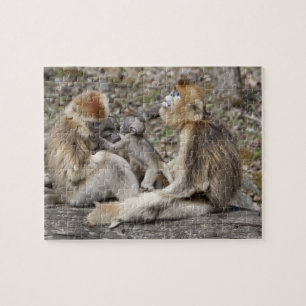 Twee vrouwelijke Gouden Monkeys met pasgeborenen Legpuzzel