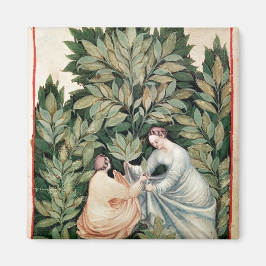 Twee vrouwen plukken sage uit 'Tacuinum' Magneet (Voorkant)