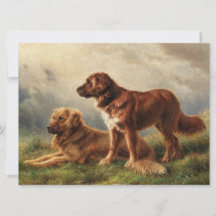 Twee waakzame honden