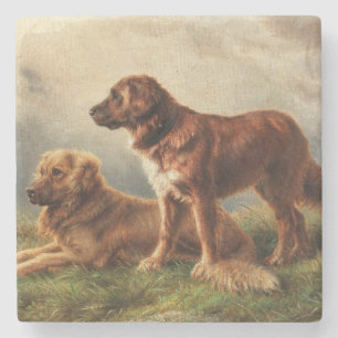 Twee Waakzame Honden Stenen Onderzetter