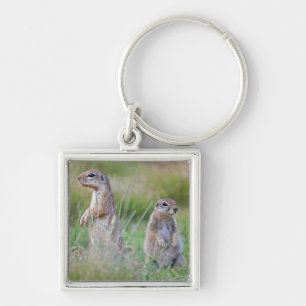 Twee waarschuwende Ground Squirrels, Jamestown Dis Sleutelhanger