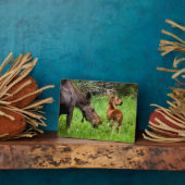 Twee waarschuwingsmama's en Baby Fotoplaat (Zijkant)