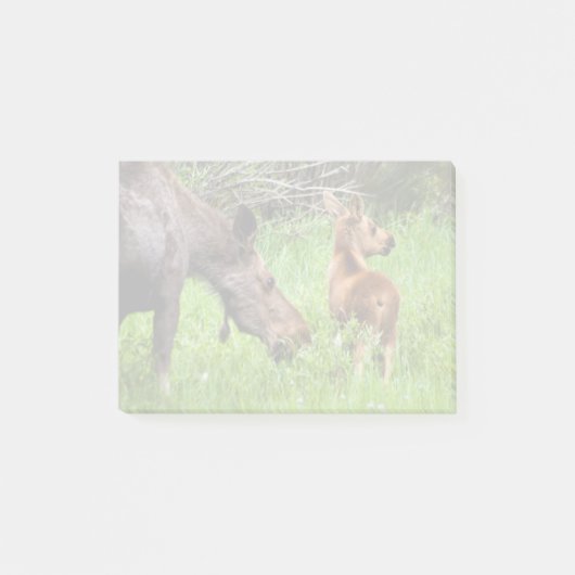 Twee waarschuwingsmama's en Baby Post-it® Notes (Voorkant)