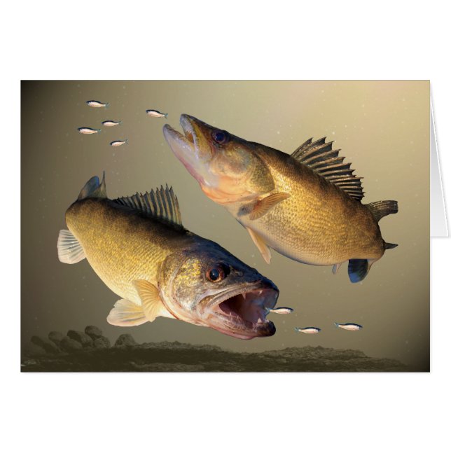 Twee walleye-voedingen (Voorkant Horizontaal)