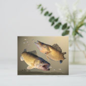 Twee walleye-voedingen briefkaart (Staand voorkant)
