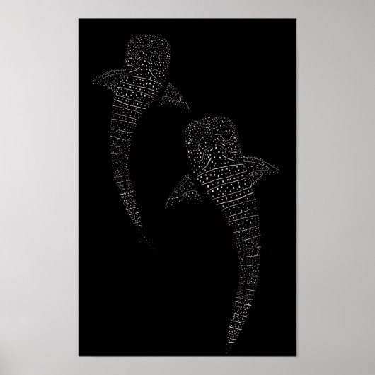 Twee walvishaaien zwart en wit poster (Voorkant)