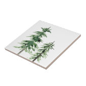 Twee Waterverf pijnbomen Tegeltje (Zijkant)