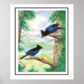 Twee Waterverf Stellar Jay Vogels Bosbomen Poster (Voorkant)