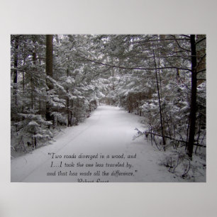Twee wegen lopen uiteen in een bos poster