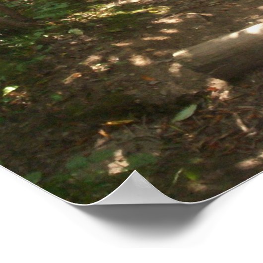 Twee wegen lopen uiteen in een Poster (Hoek)