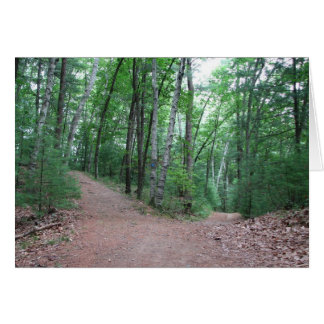 Twee wegen verdeeld in een geel hout