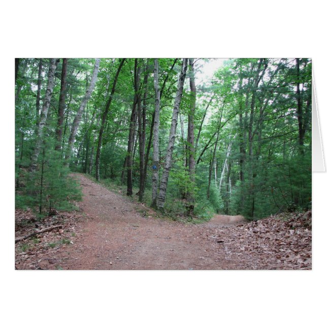 Twee wegen verdeeld in een geel hout (Voorkant Horizontaal)