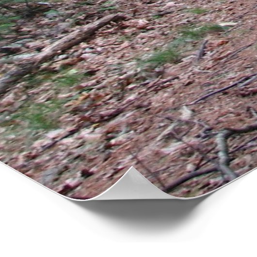 Twee wegen verdeeld in een geel hout poster (Hoek)