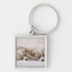 Twee Welsh Corgi Slaping Sleutelhanger