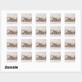 Twee Welsh Corgi Slaping Vierkante Sticker (Vel)