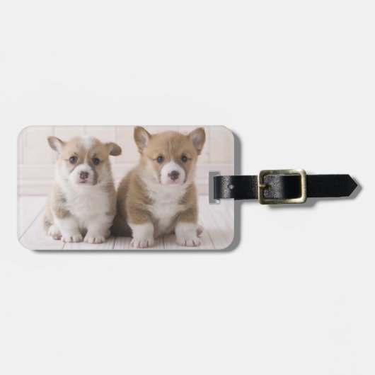 Twee Welsh Corgi-vergaderingen Bagagelabel (Voorkant horizontaal)