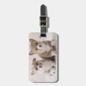 Twee Welsh Corgi-vergaderingen Bagagelabel (Voorkant verticaal)