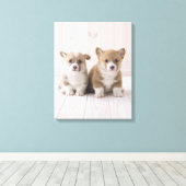 Twee Welsh Corgi-vergaderingen Canvas Afdruk (Insitu (Houten vloer))