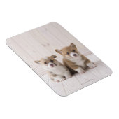 Twee Welsh Corgi-vergaderingen Magneet (Rechterzijde)