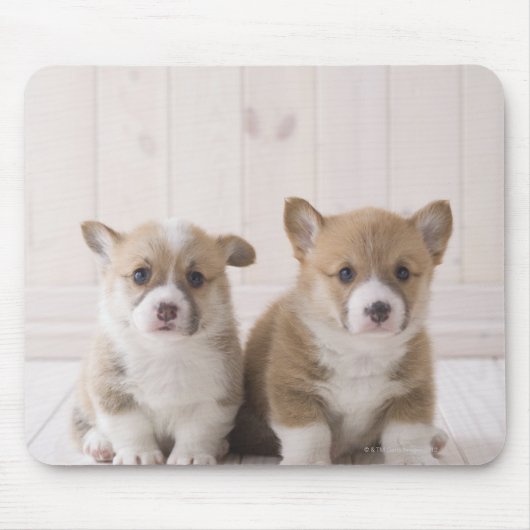 Twee Welsh Corgi-vergaderingen Muismat (Voorkant)
