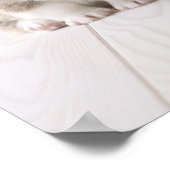 Twee Welsh Corgi-vergaderingen Poster (Hoek)