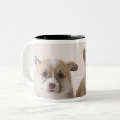 Twee Welsh Corgi-vergaderingen Tweekleurige Koffiemok (Voorkant links)
