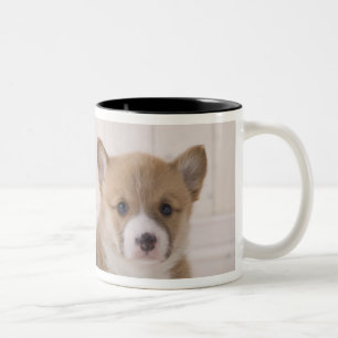 Twee Welsh Corgi-vergaderingen Tweekleurige Koffiemok