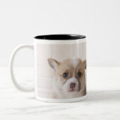 Twee Welsh Corgi-vergaderingen Tweekleurige Koffiemok (Links)